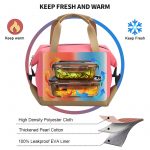 Insulated Lunch Bag